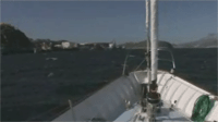 Arriv&eacute;e du Southern Star &agrave; Nuuk