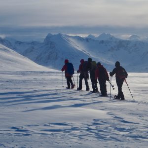 Un groupe en tenue d'hiver randonne avec raquettes et bâtons à travers une île enneigée, profitant des montagnes et d'une vue sur les fjords lors d'une aventure 69Nord Randonnée raquettes Norvège, Kvaløya, Senja.