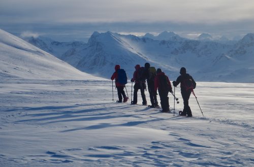 Six people in winter gear use poles to snowshoe across Norway’s snowy mountains under a cloudy sky on a guided snowshoeing tour in Kvaløya and Senja from Sommarøy.
